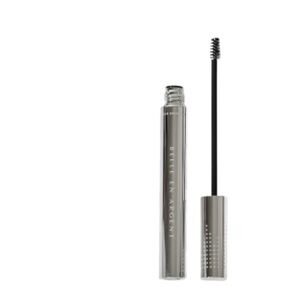 NIB Belle En Argent Reframing brow gel